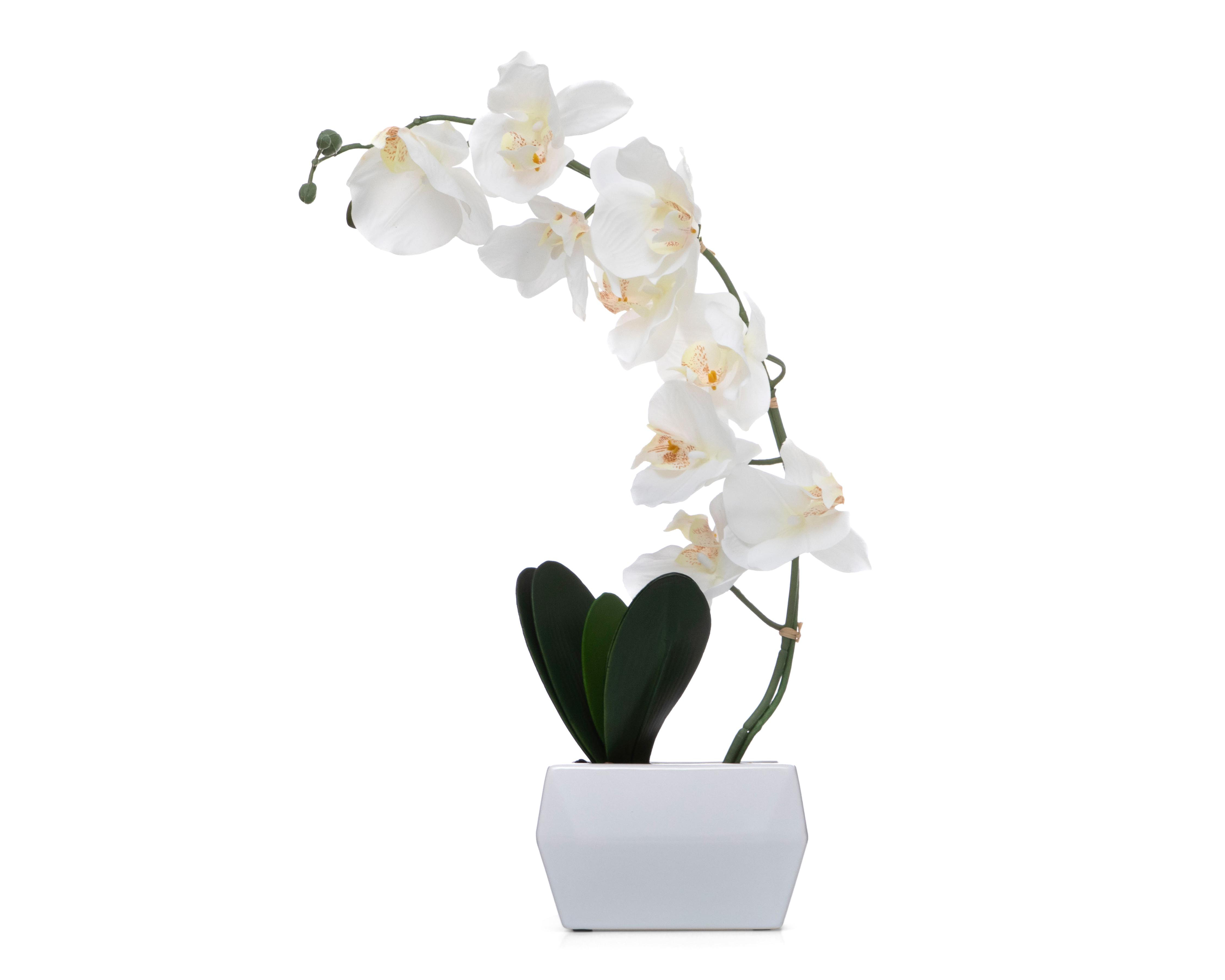 Planta Artificial con Maceta Starhaus 21.5 cm