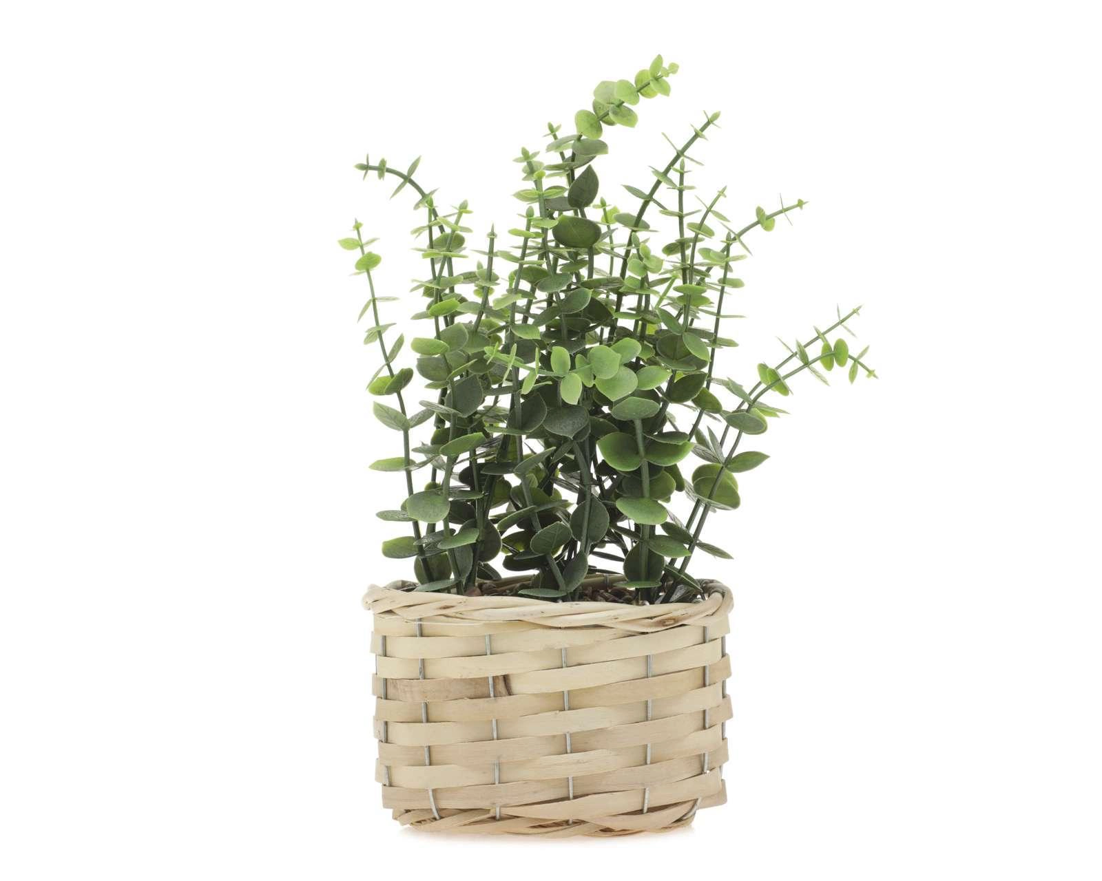 Foto 1 | Planta Artificial con Maceta Starhaus 27 cm