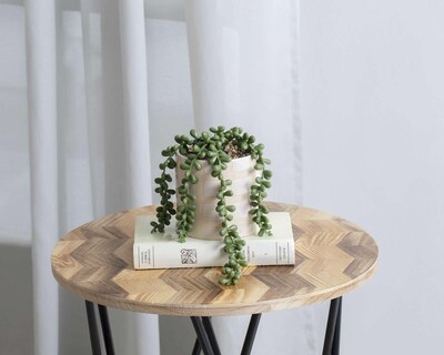 Foto 4 | Planta Artificial con Maceta Starhaus 12.5 cm