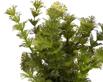 Foto 3 | Planta Artificial con Maceta Starhaus 22.86 cm
