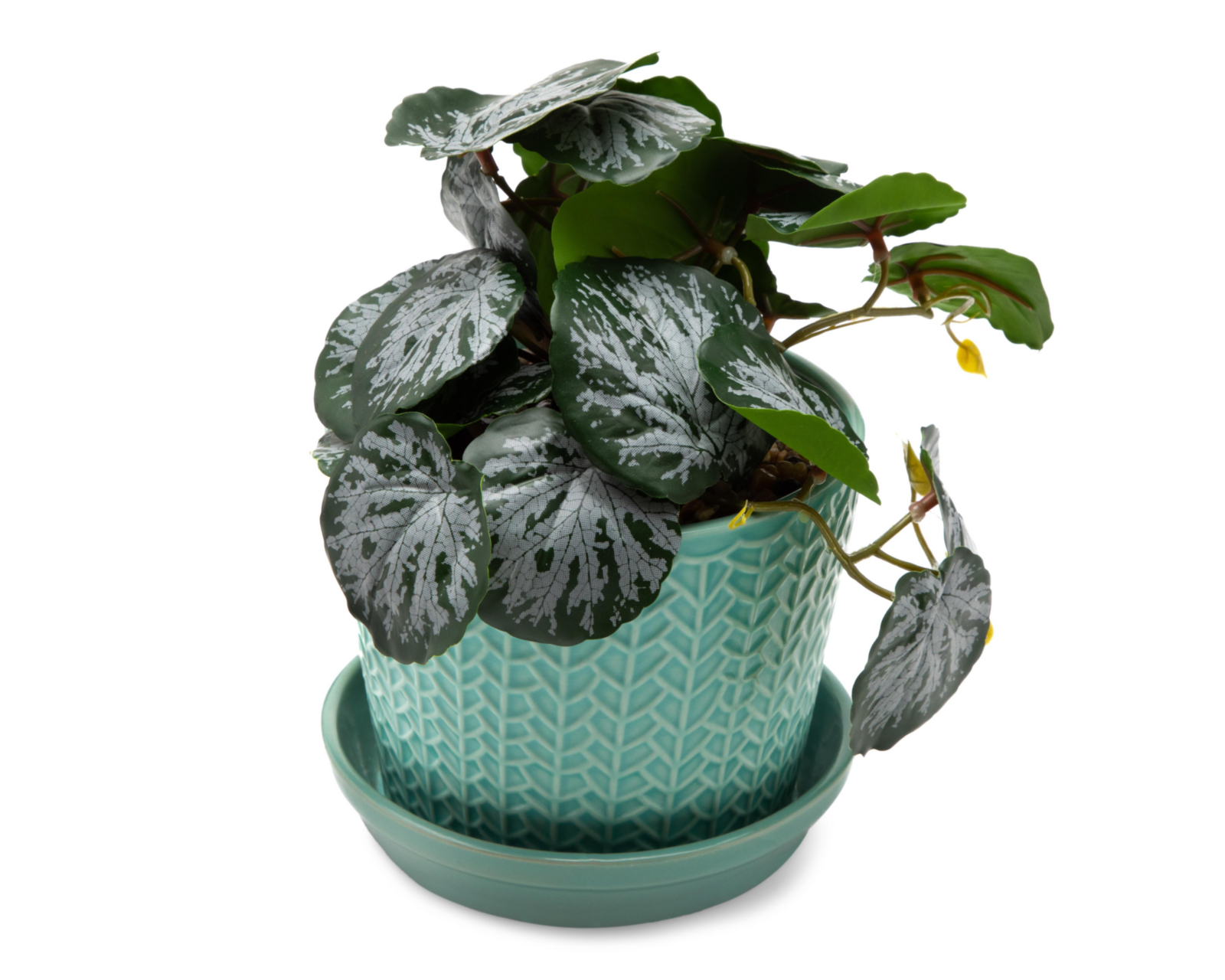 Planta Artificial con Maceta Starhaus 13.5 cm $69