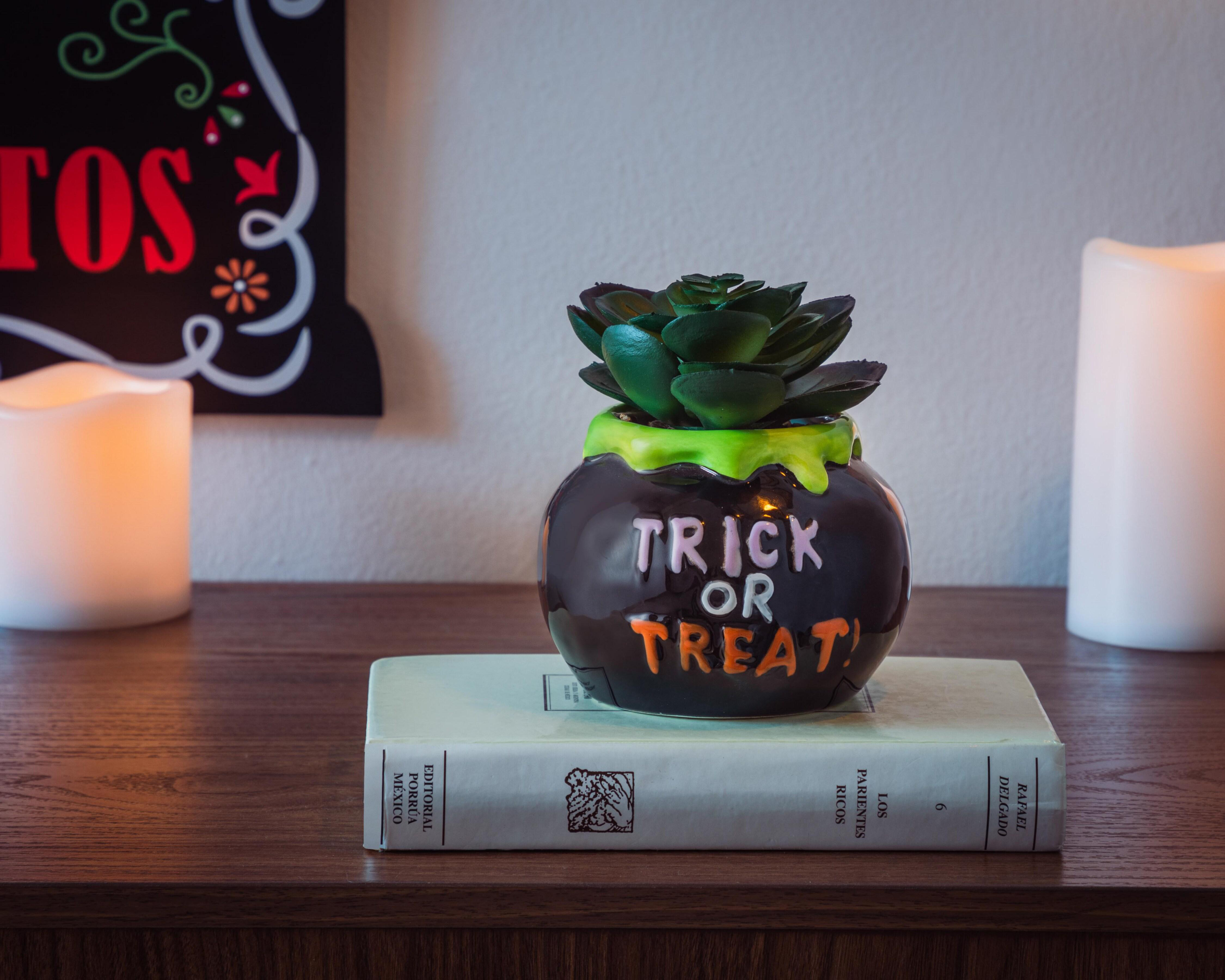 Foto 4 | Maceta Decorativa Trick or Treat
