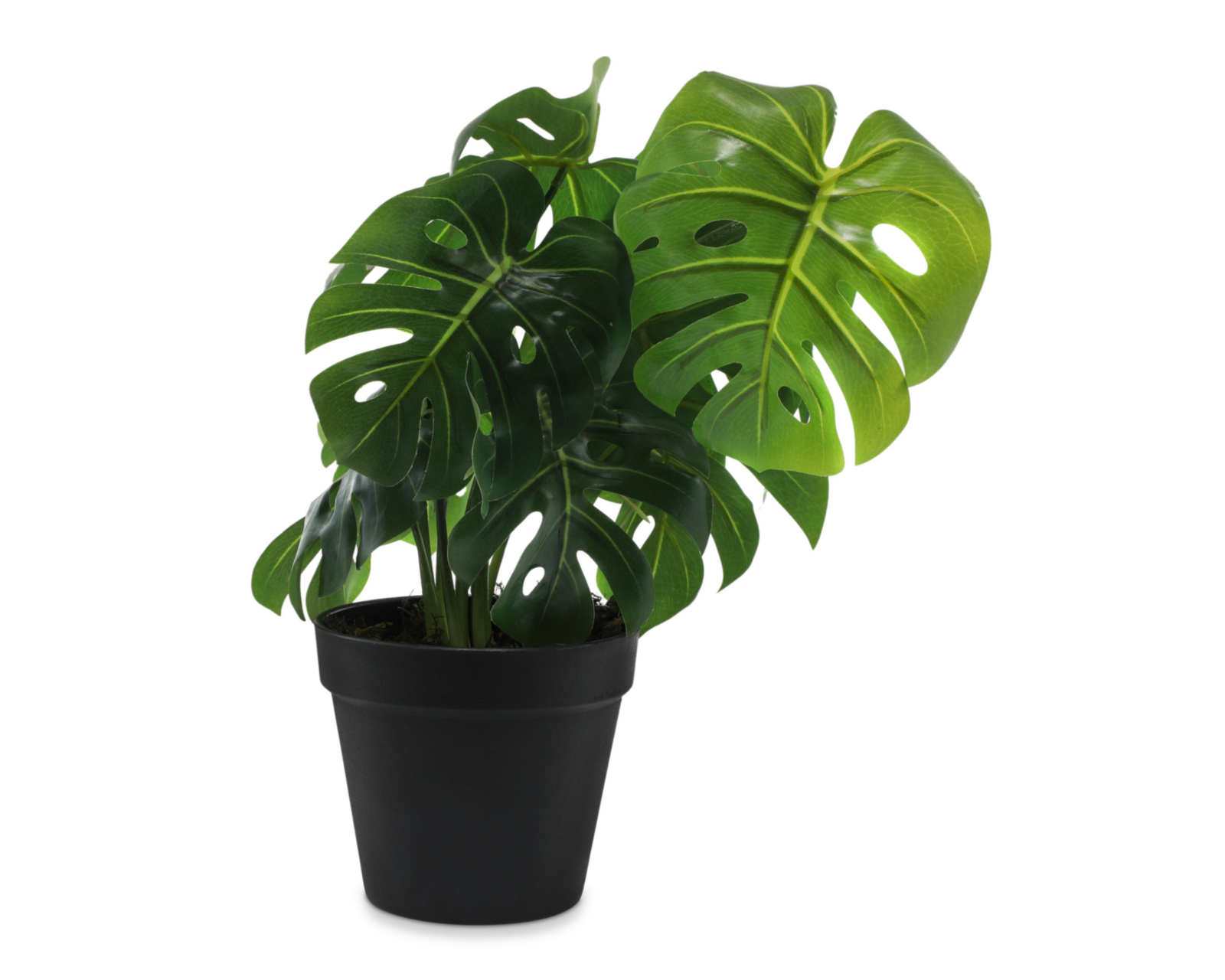 Foto 2 pulgar | Planta Artificial con Maceta Starhaus 35 cm