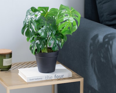 Foto 4 | Planta Artificial con Maceta Starhaus 35 cm