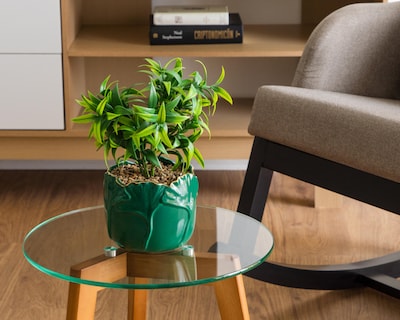 Foto 4 | Planta Artificial con Maceta Starhaus 33 cm