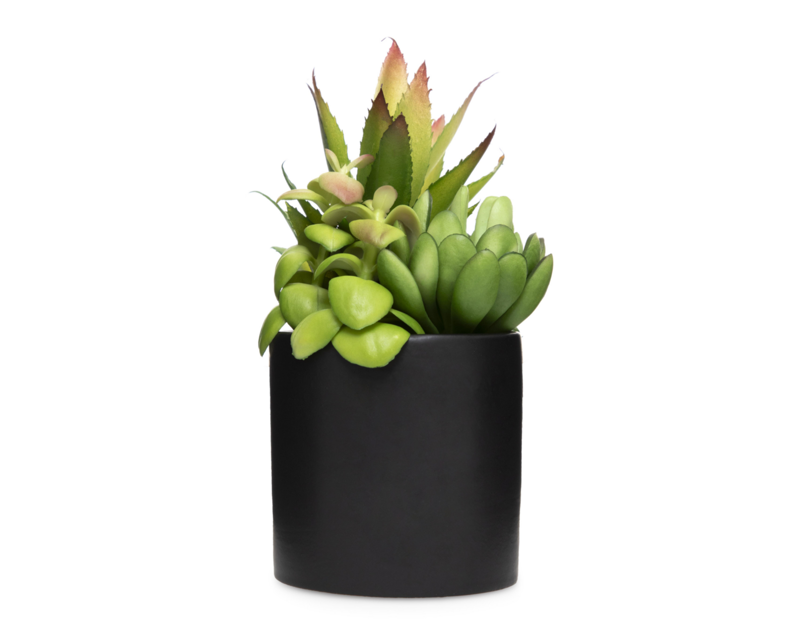 Planta Artificial con Maceta Starhaus 18 cm