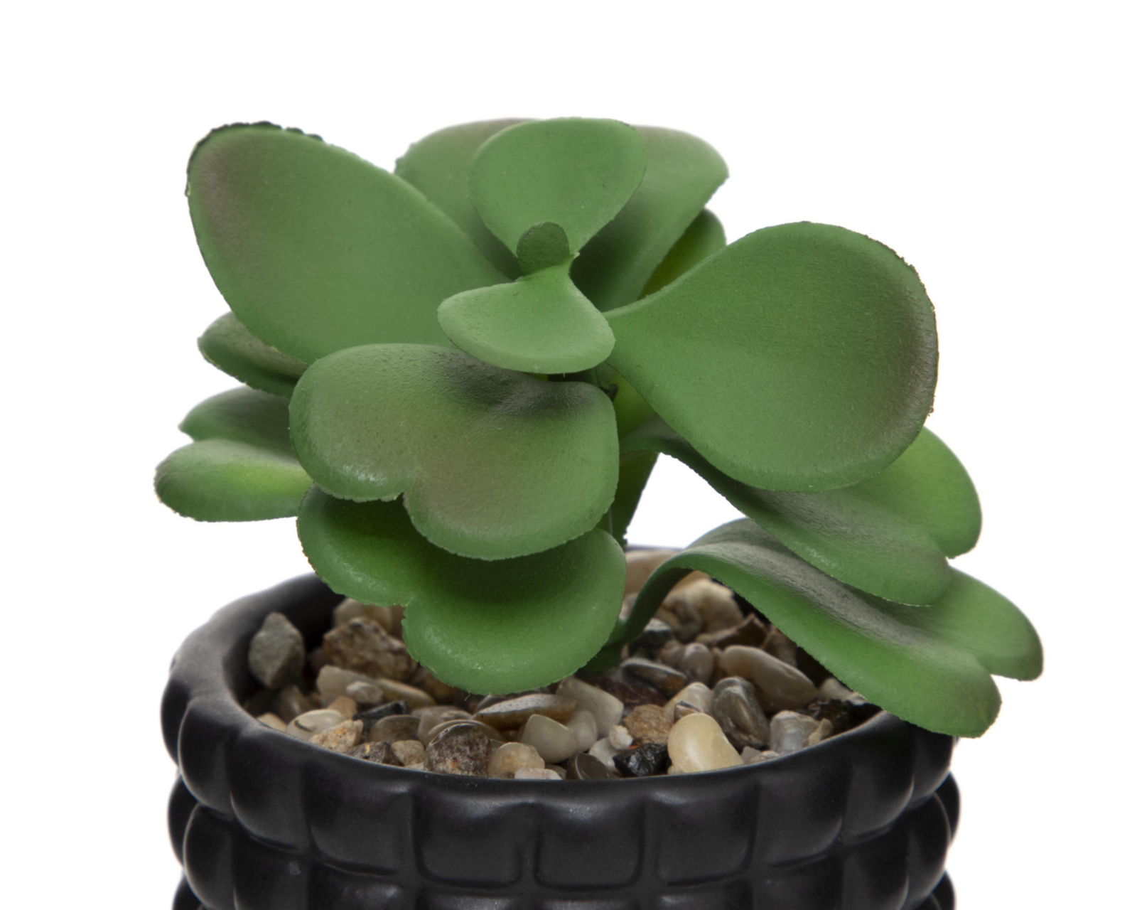 Foto 4 pulgar | Planta Artificial con Maceta Starhaus 5 cm