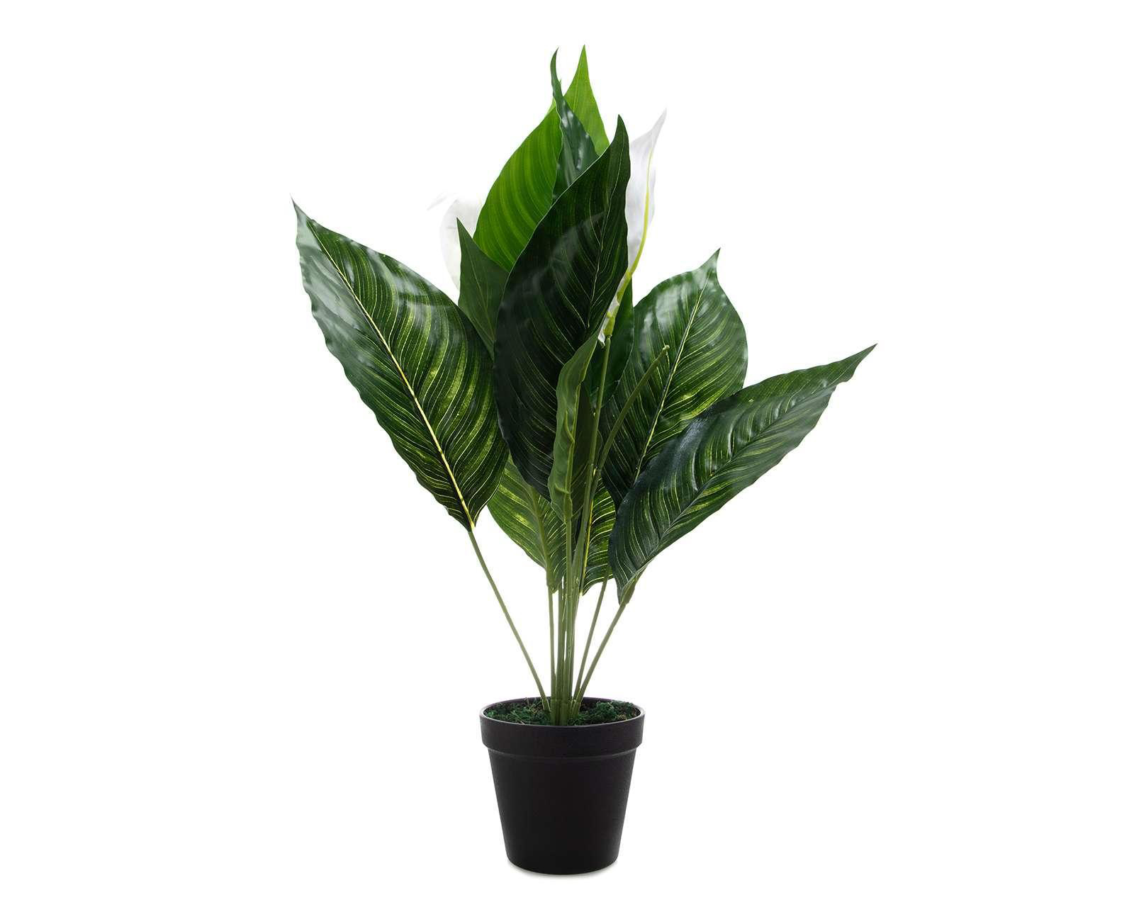 Foto 1 | Planta Artificial Anthuirum
