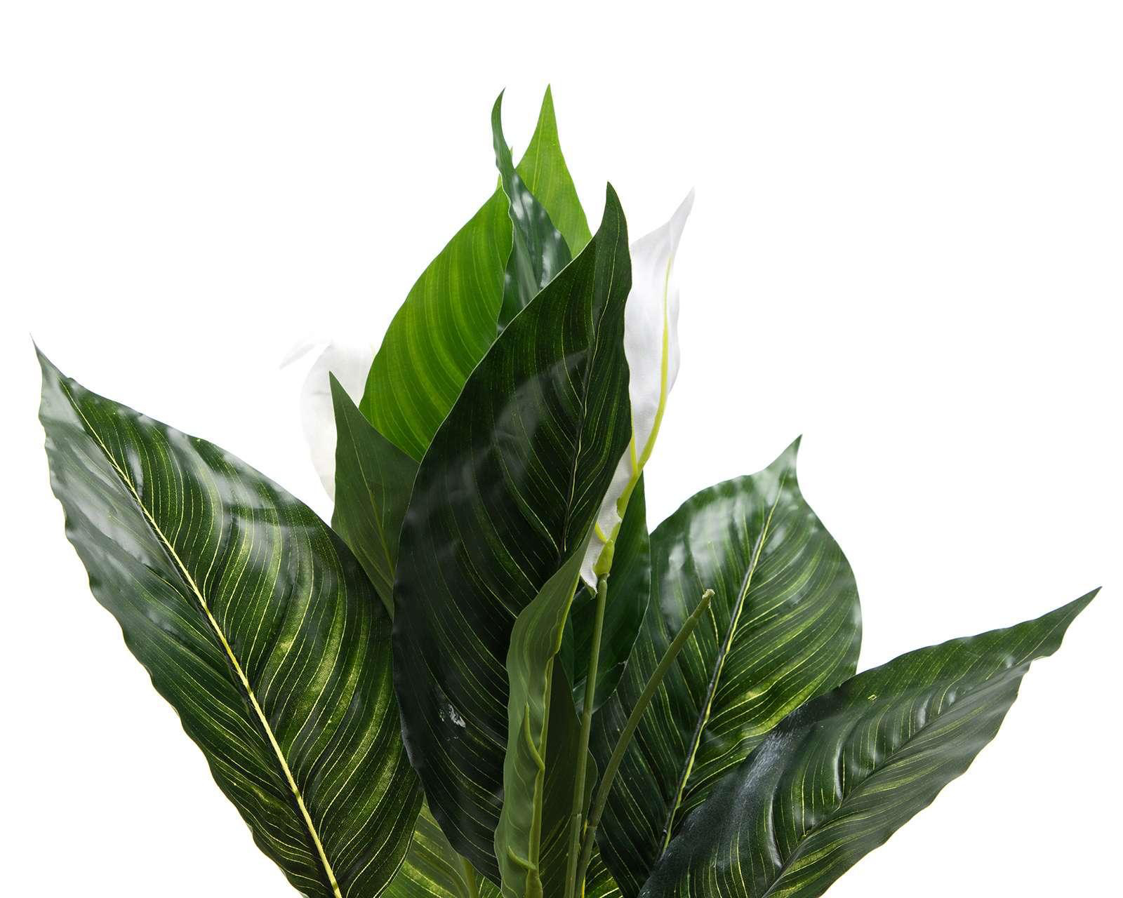 Foto 2 | Planta Artificial Anthuirum