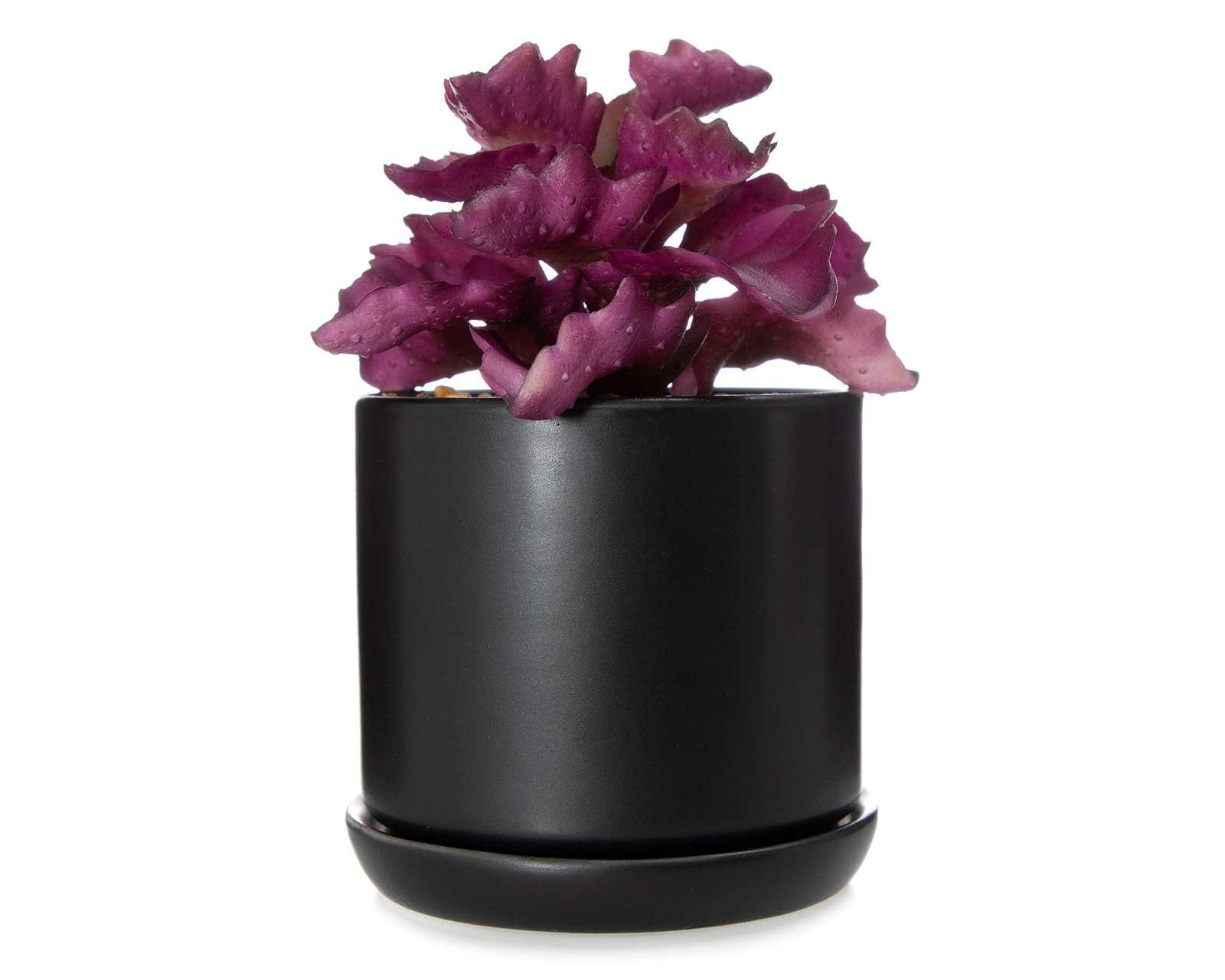 Planta Artificial Bolivia