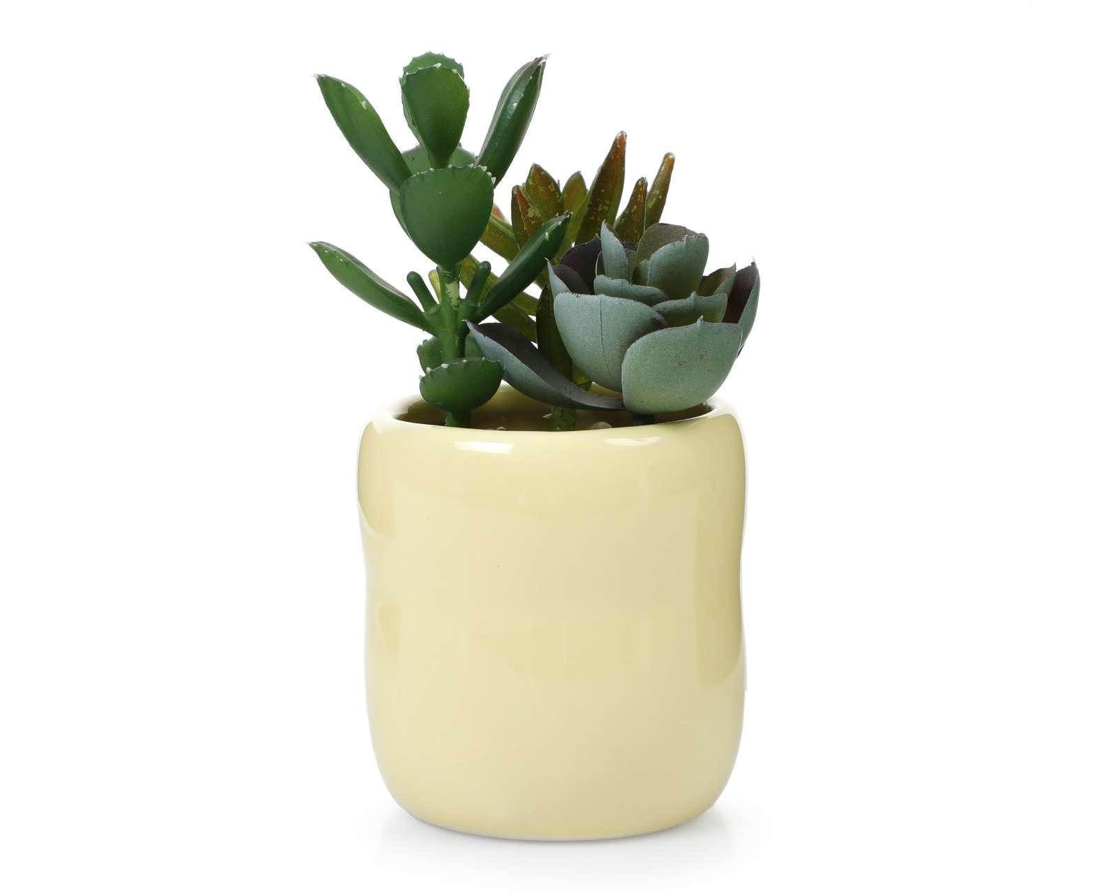 Planta Artificial Risco
