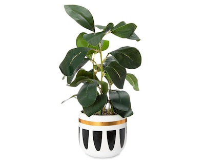 Foto 1 | Planta Artificial Blackie