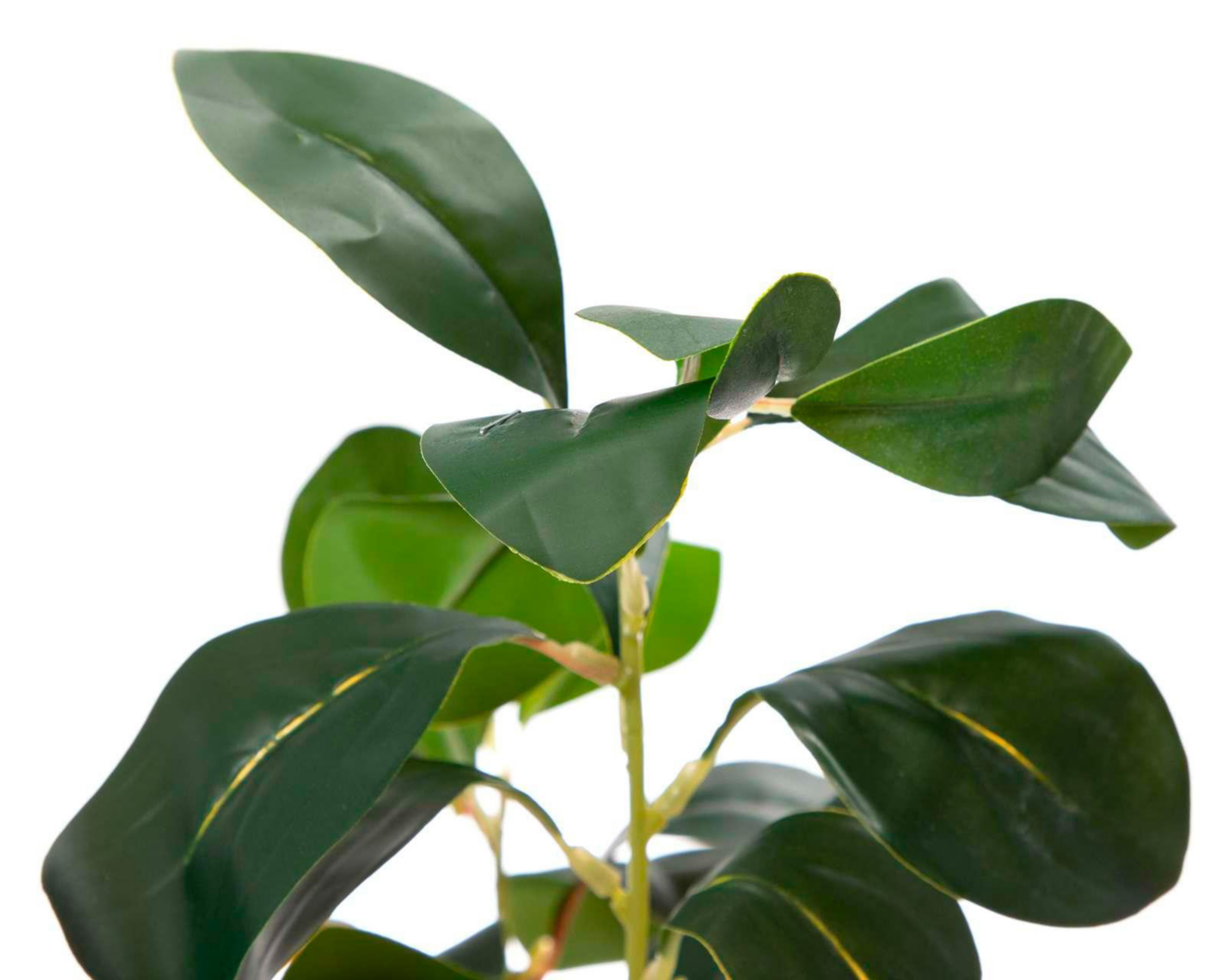 Foto 2 | Planta Artificial Blackie