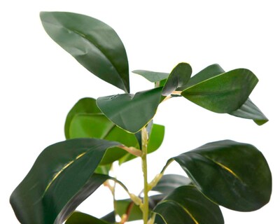 Foto 2 | Planta Artificial Blackie