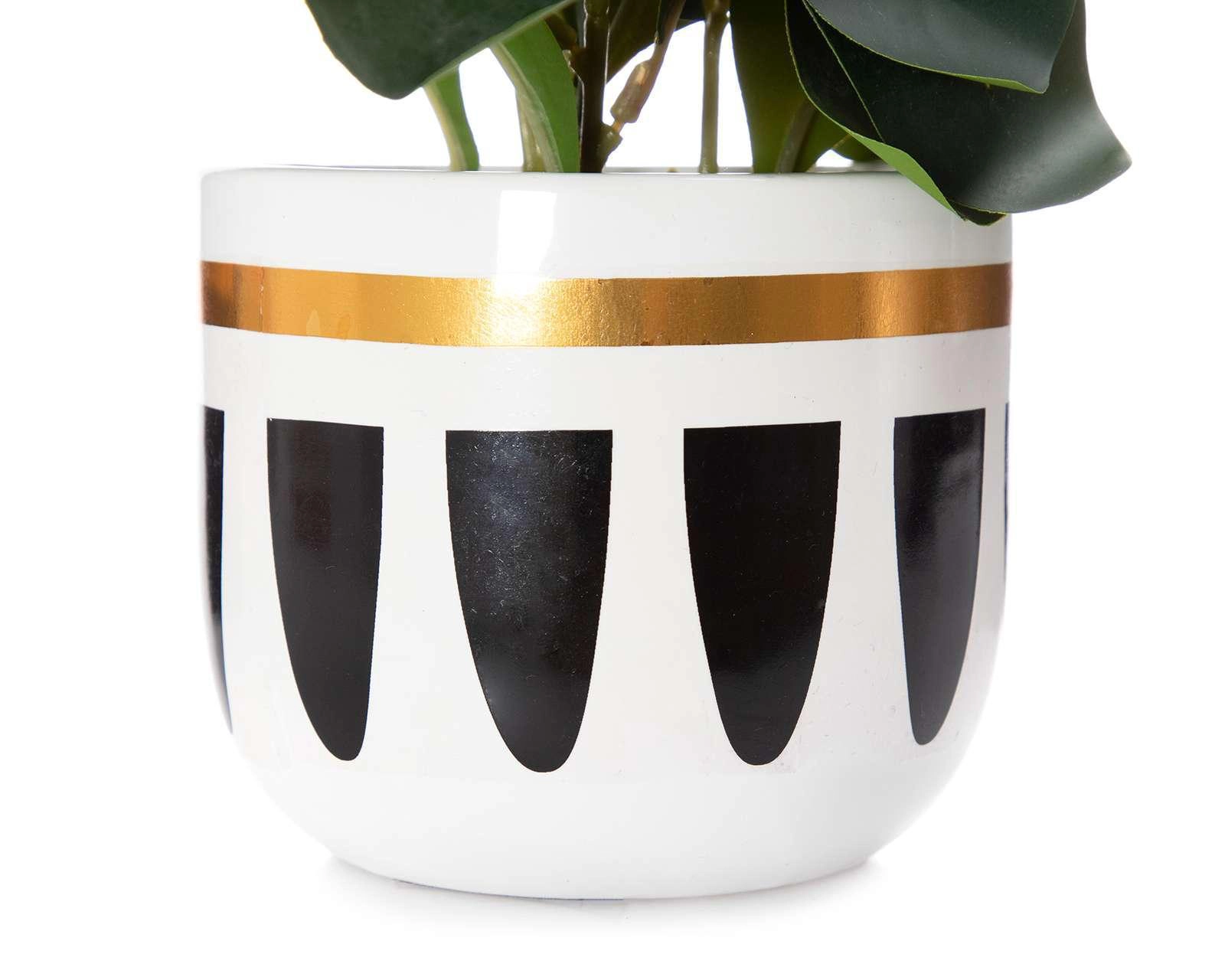 Foto 3 | Planta Artificial Blackie