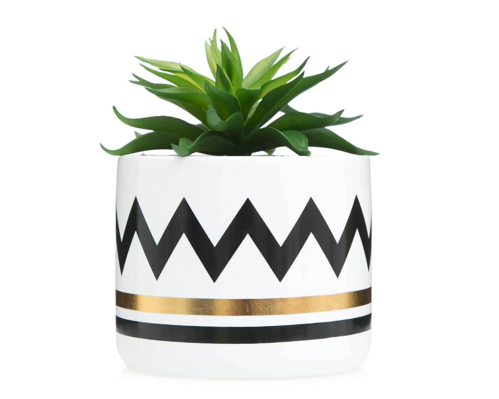 Foto 1 | Planta Decorativa Marilu