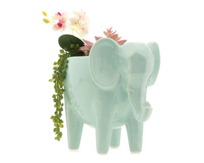 Foto 1 | Planta Decorativa Mint