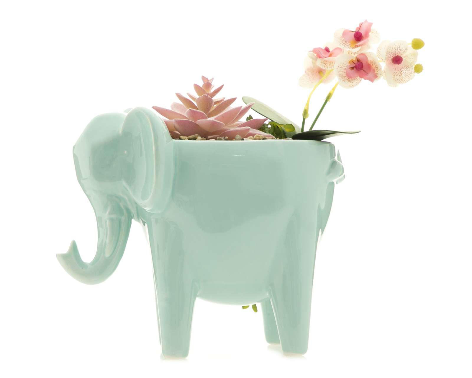 Foto 4 pulgar | Planta Decorativa Mint