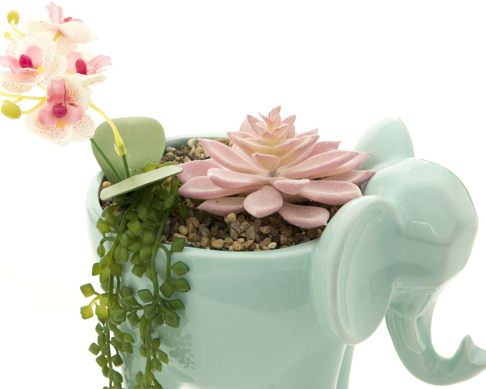 Foto 4 | Planta Decorativa Mint