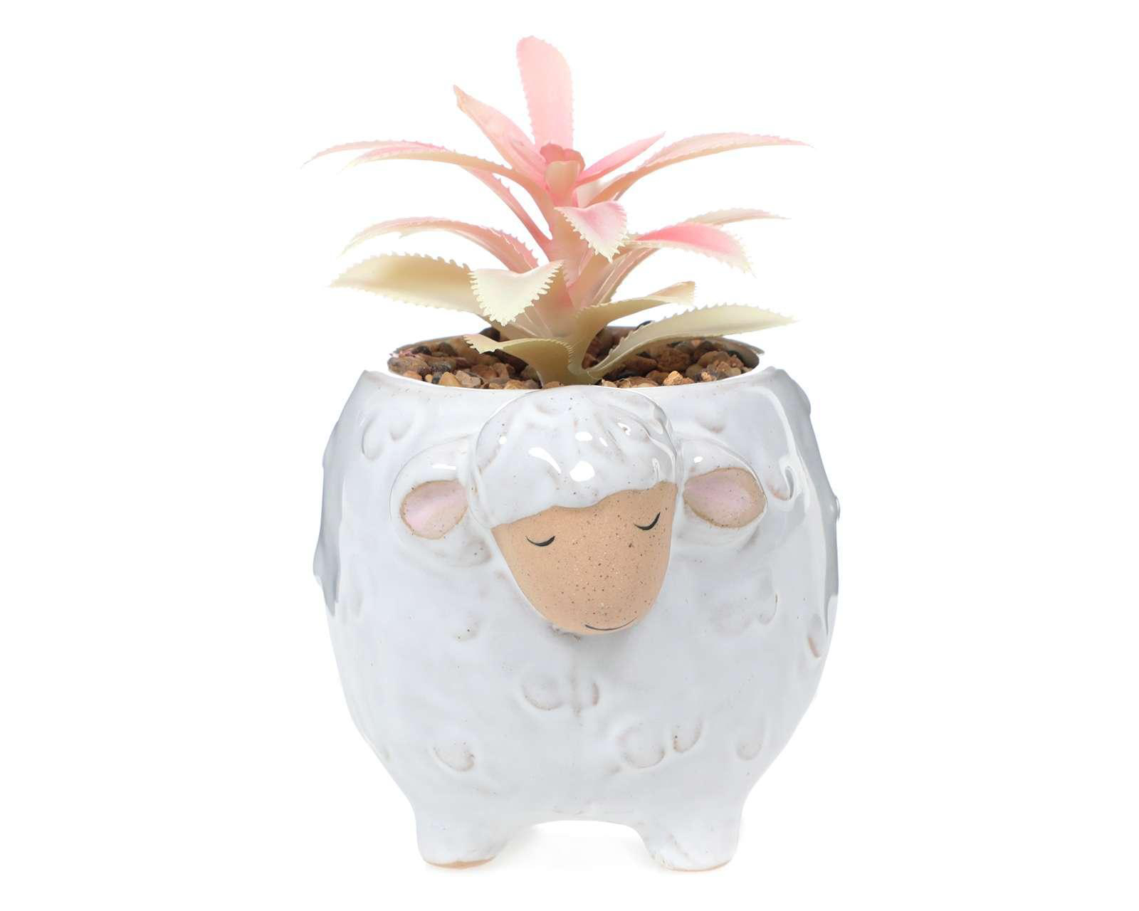 Planta Decorativa Sheep