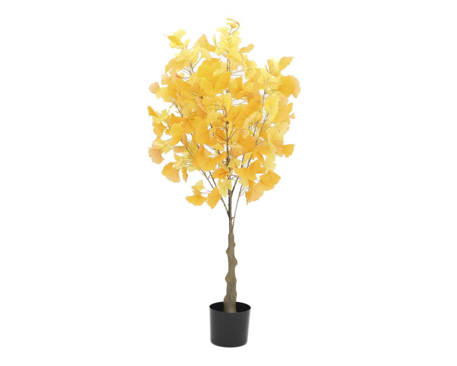 Planta Decorativa Tumm