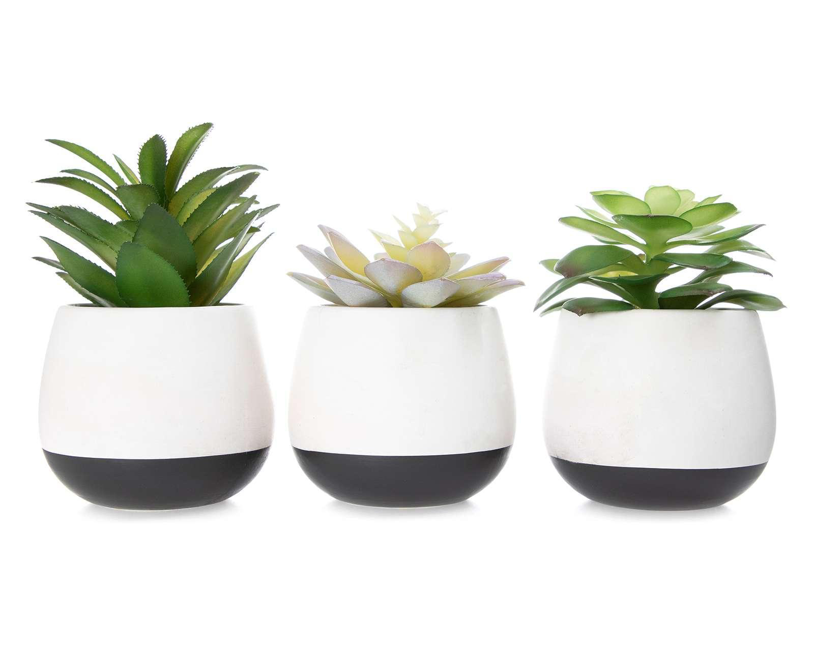 Foto 1 | Macetas Decorativas Euterpe de Cemento 3 Piezas