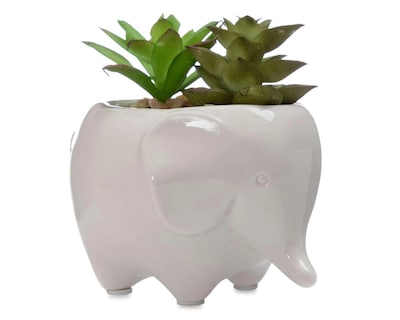 Foto 1 | Planta Decorativa Naty