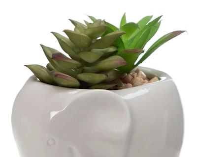 Foto 3 | Planta Decorativa Naty
