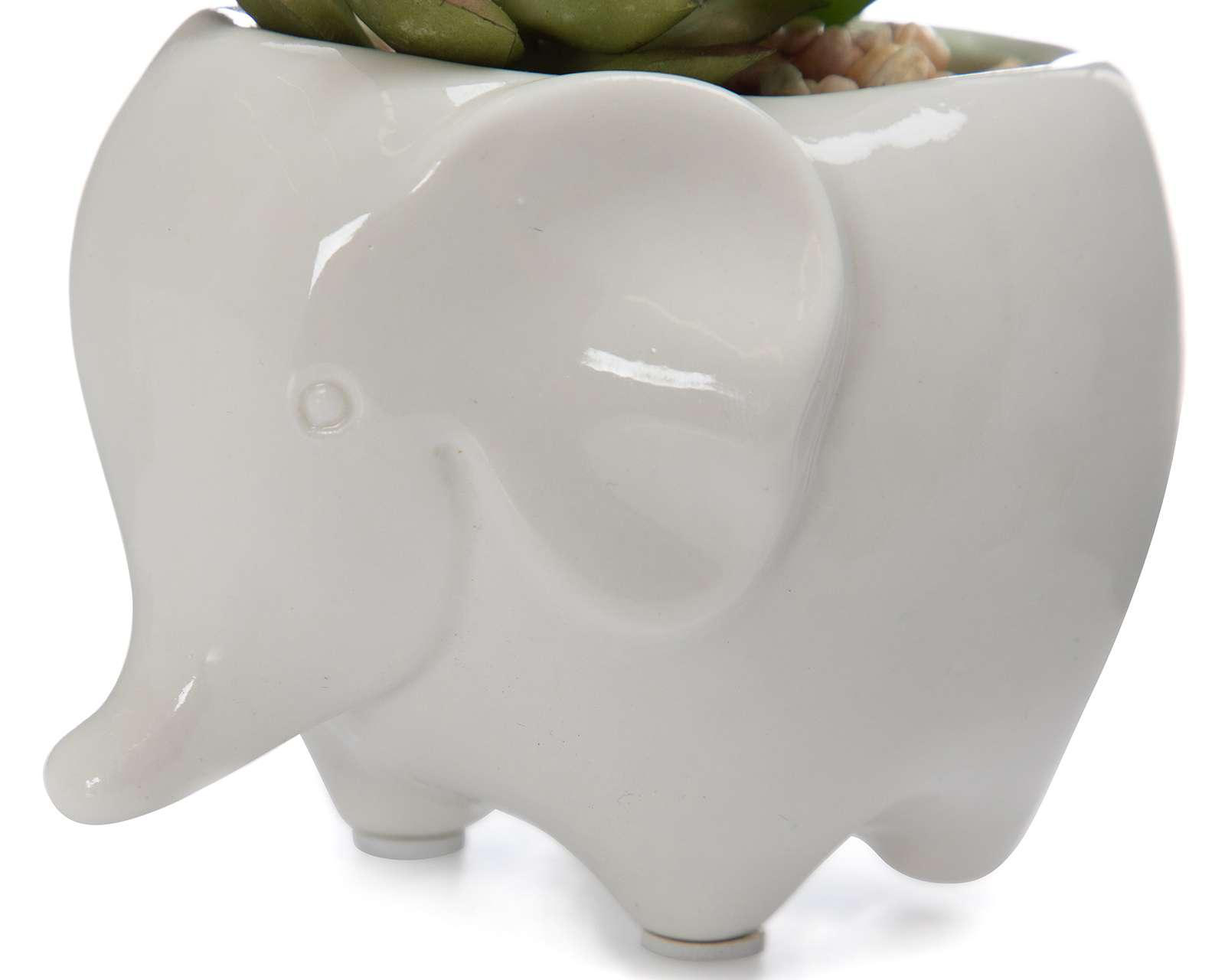 Foto 4 | Planta Decorativa Naty