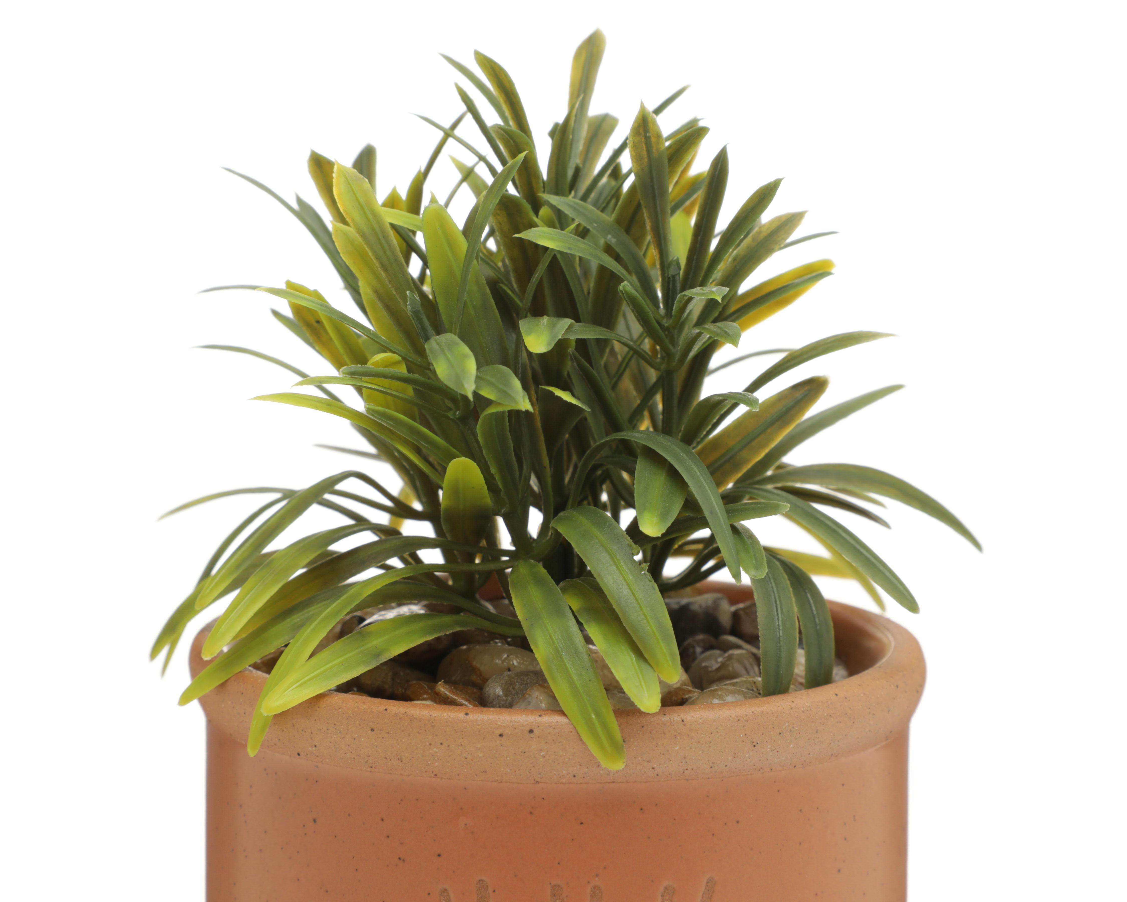 Foto 4 pulgar | Planta Artificial con Maceta Starhaus 16 cm