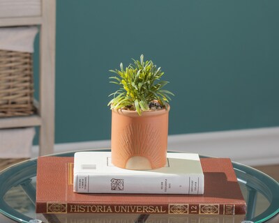 Foto 4 | Planta Artificial con Maceta Starhaus 16 cm