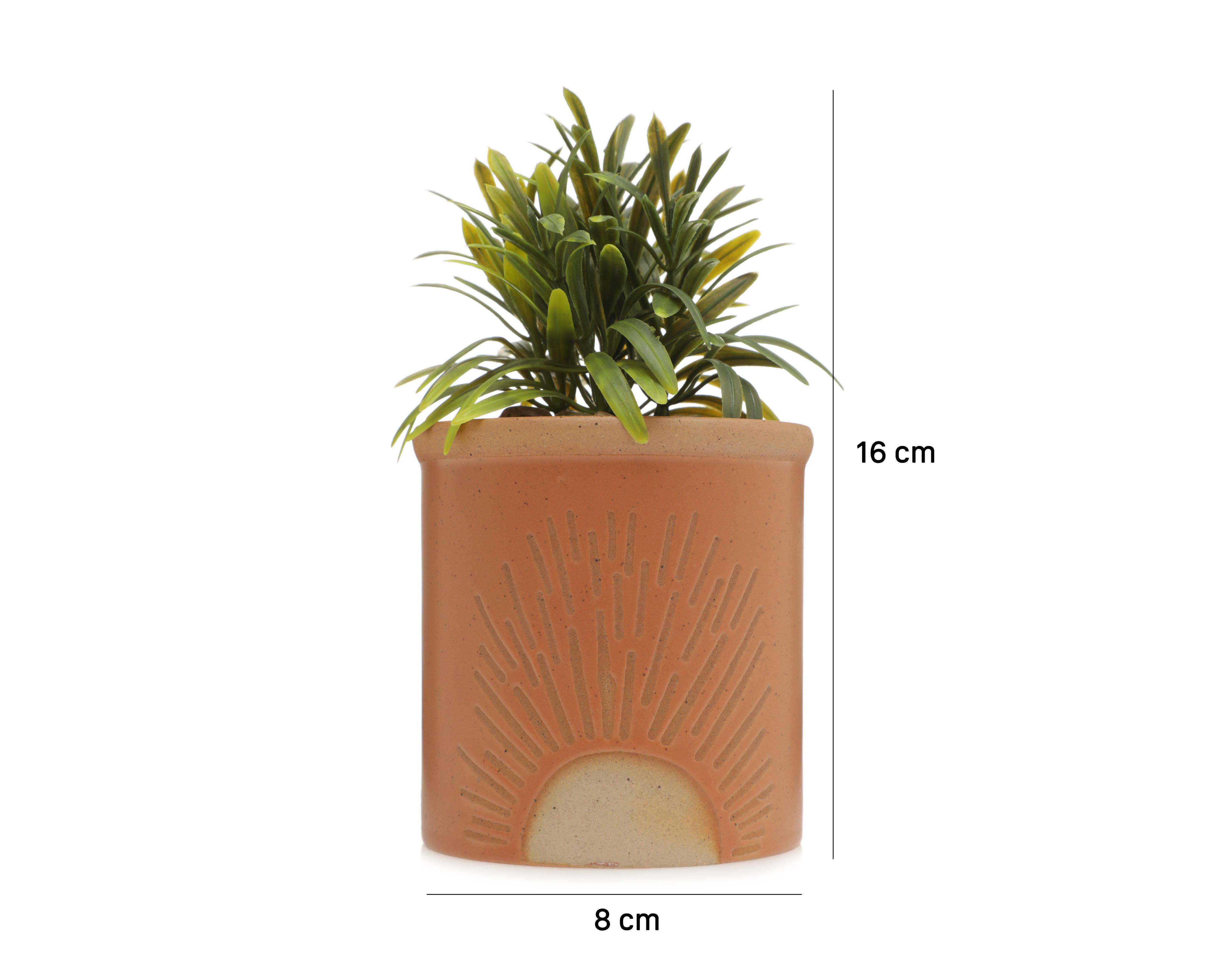 Foto 6 pulgar | Planta Artificial con Maceta Starhaus 16 cm