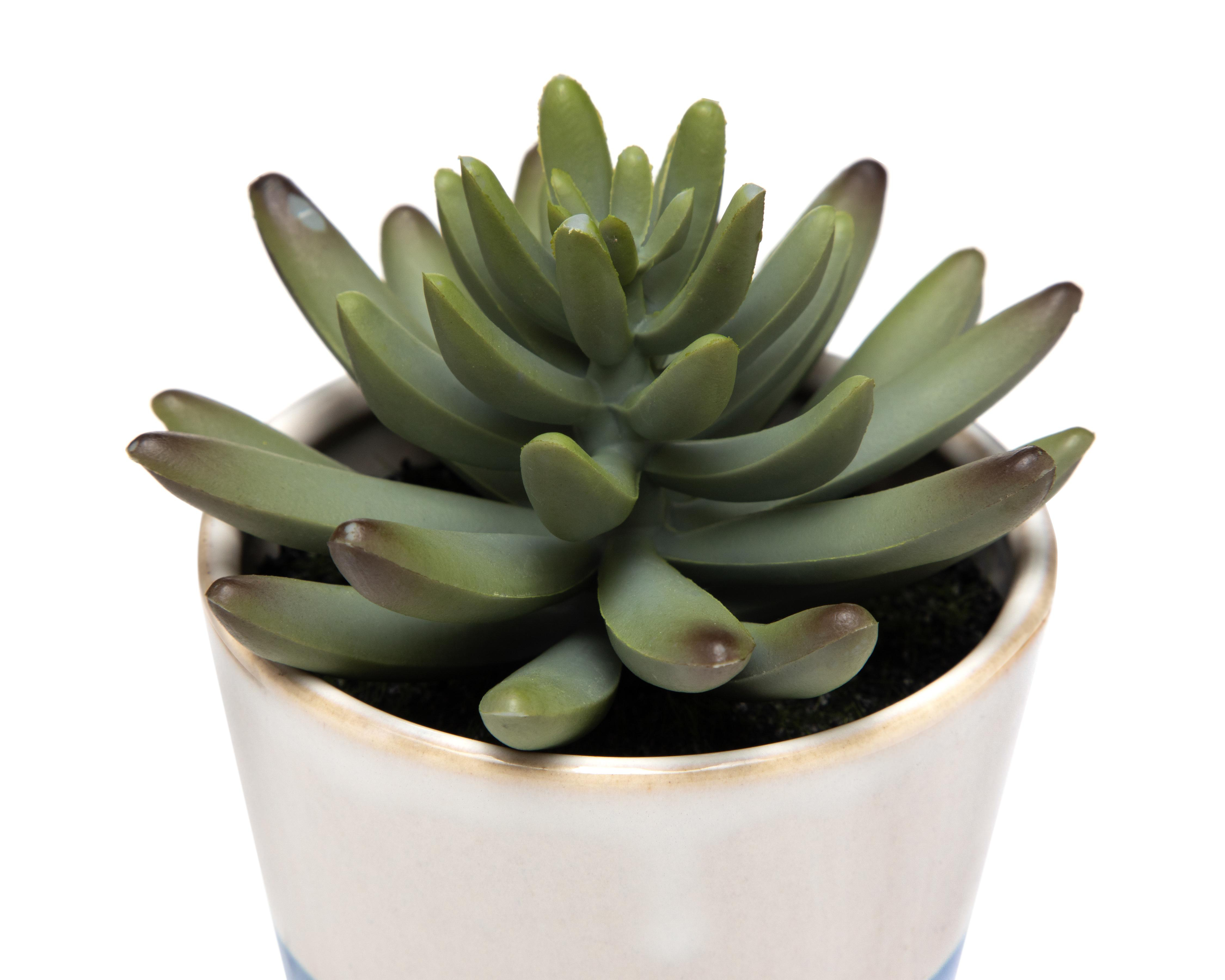 Foto 4 pulgar | Planta Artificial con Maceta Starhaus 11.4 cm