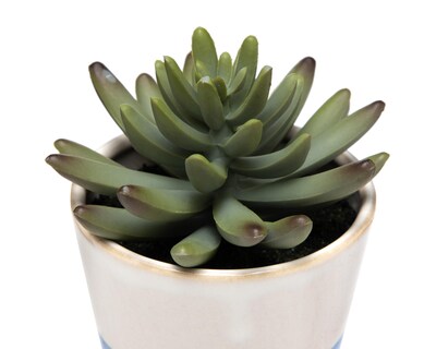 Foto 3 | Planta Artificial con Maceta Starhaus 11.4 cm