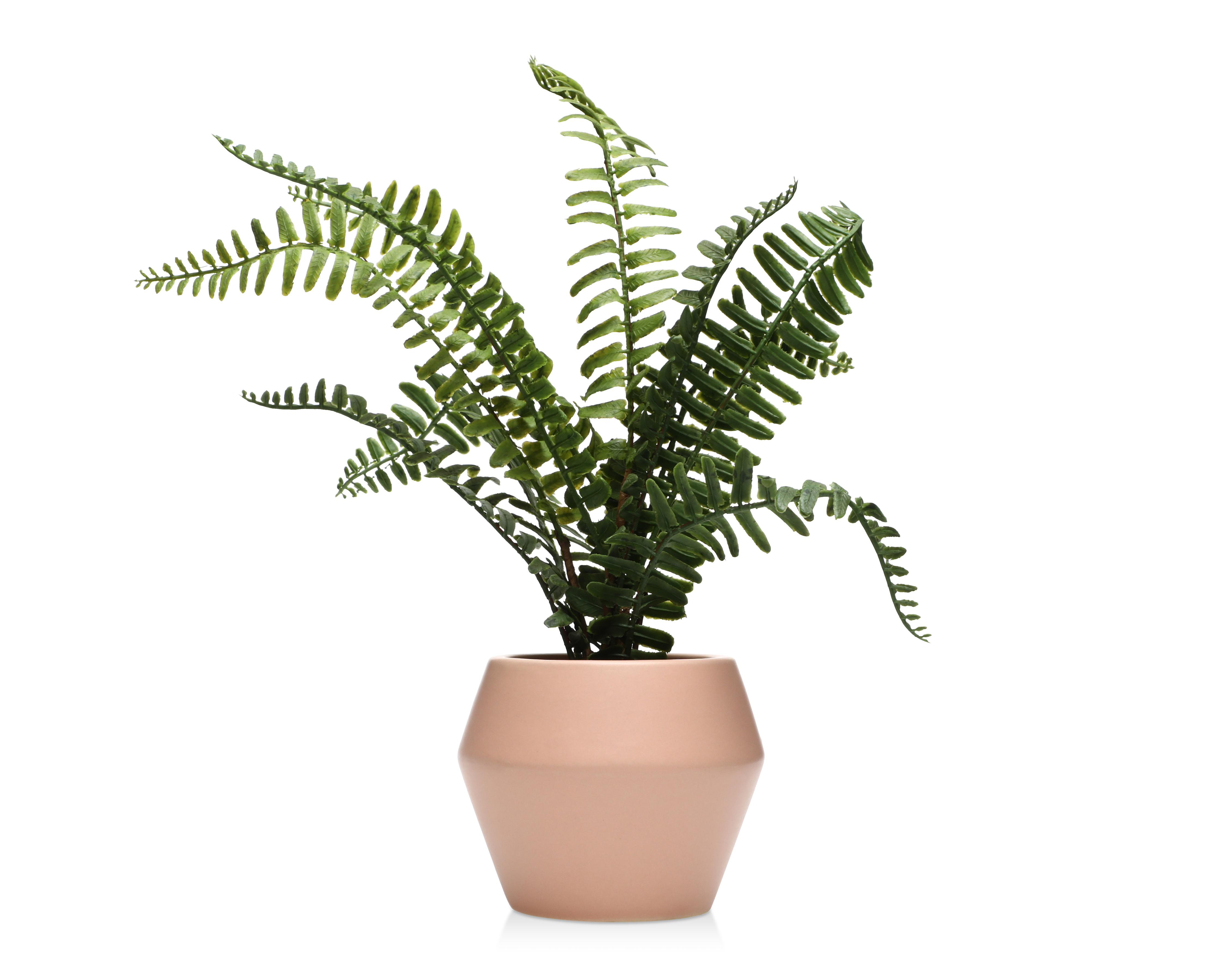 Planta Artificial con Maceta Starhaus