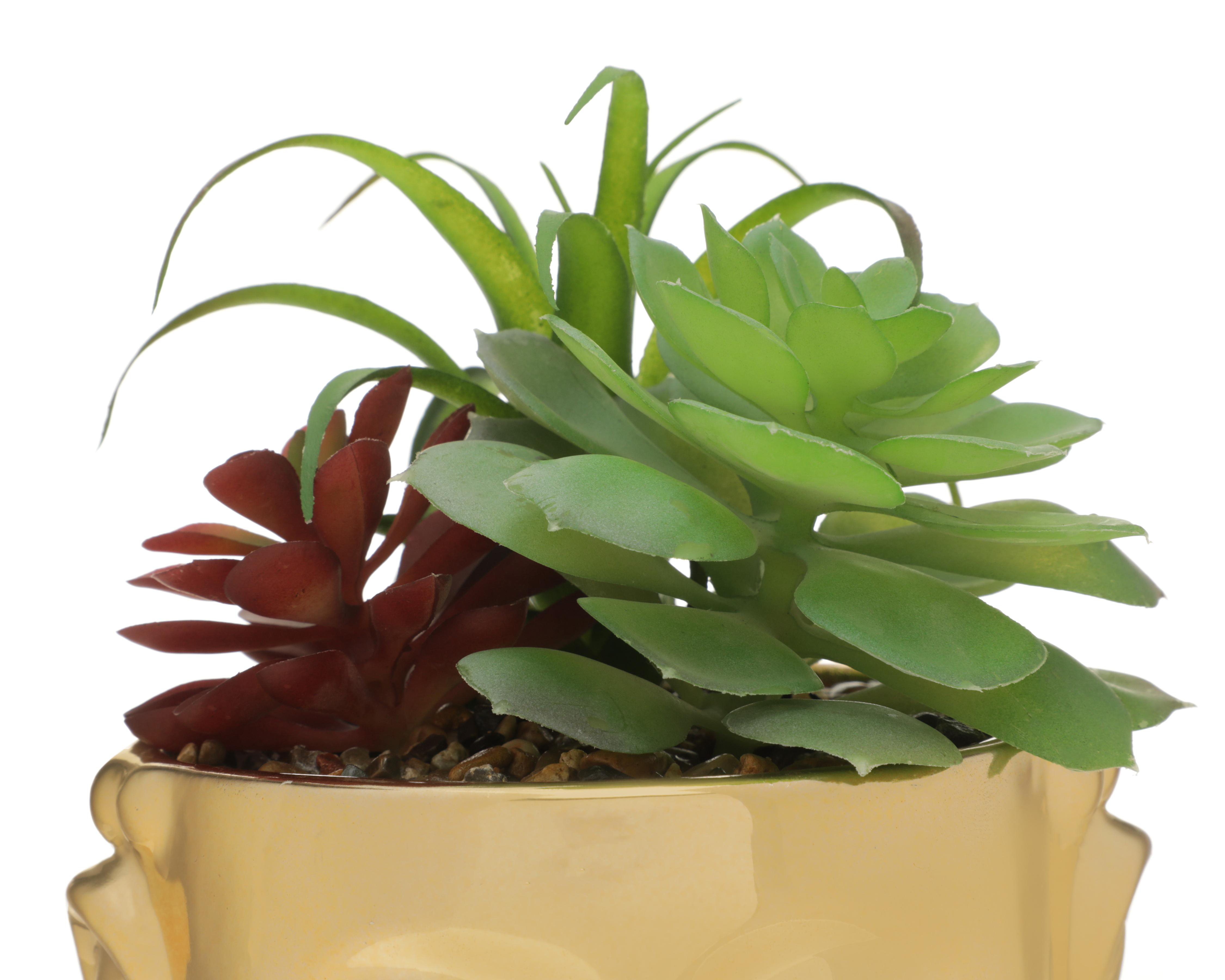 Foto 4 pulgar | Planta Artificial con Maceta Starhaus 20 cm