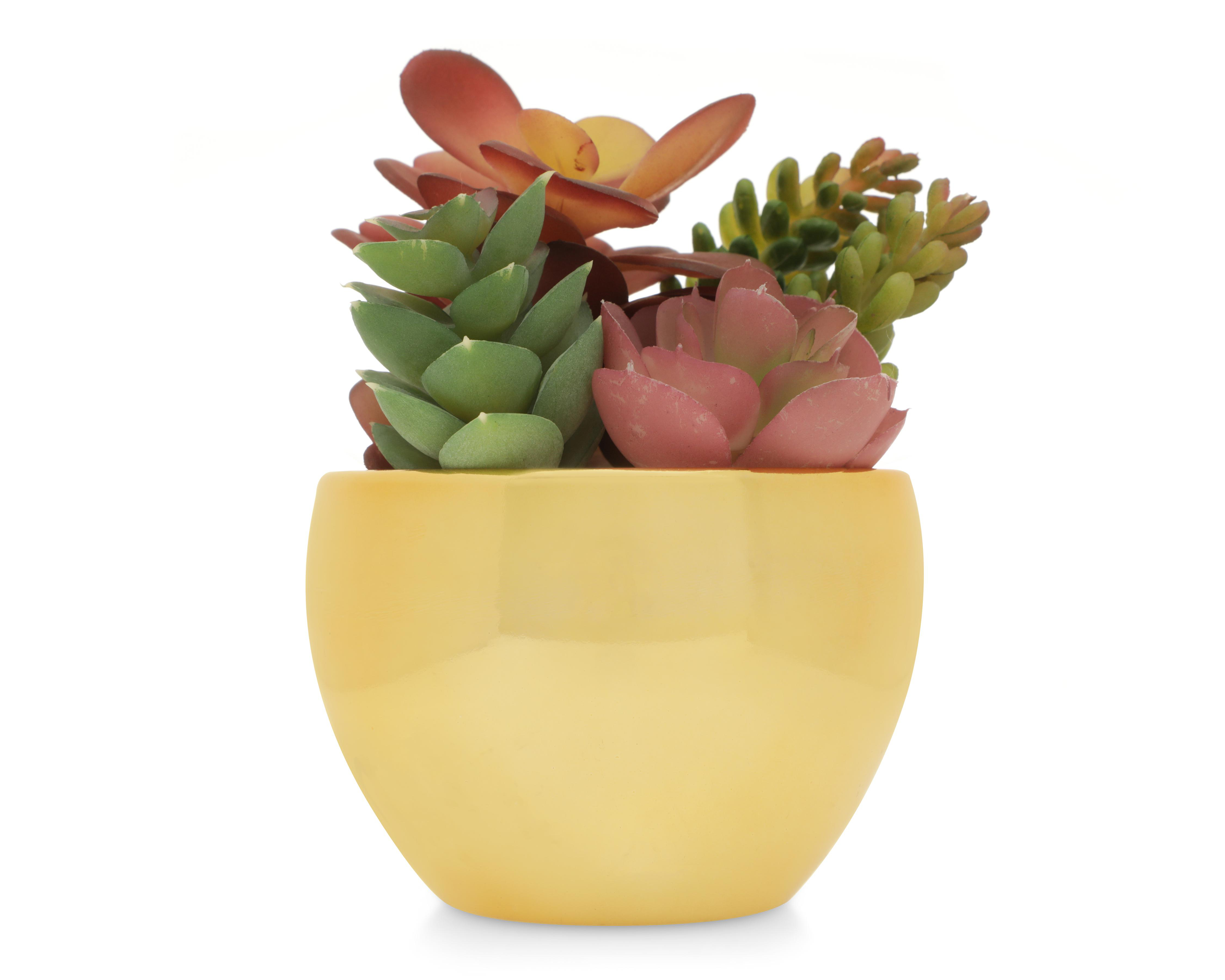 Planta Artificial con Maceta Starhaus 14 cm