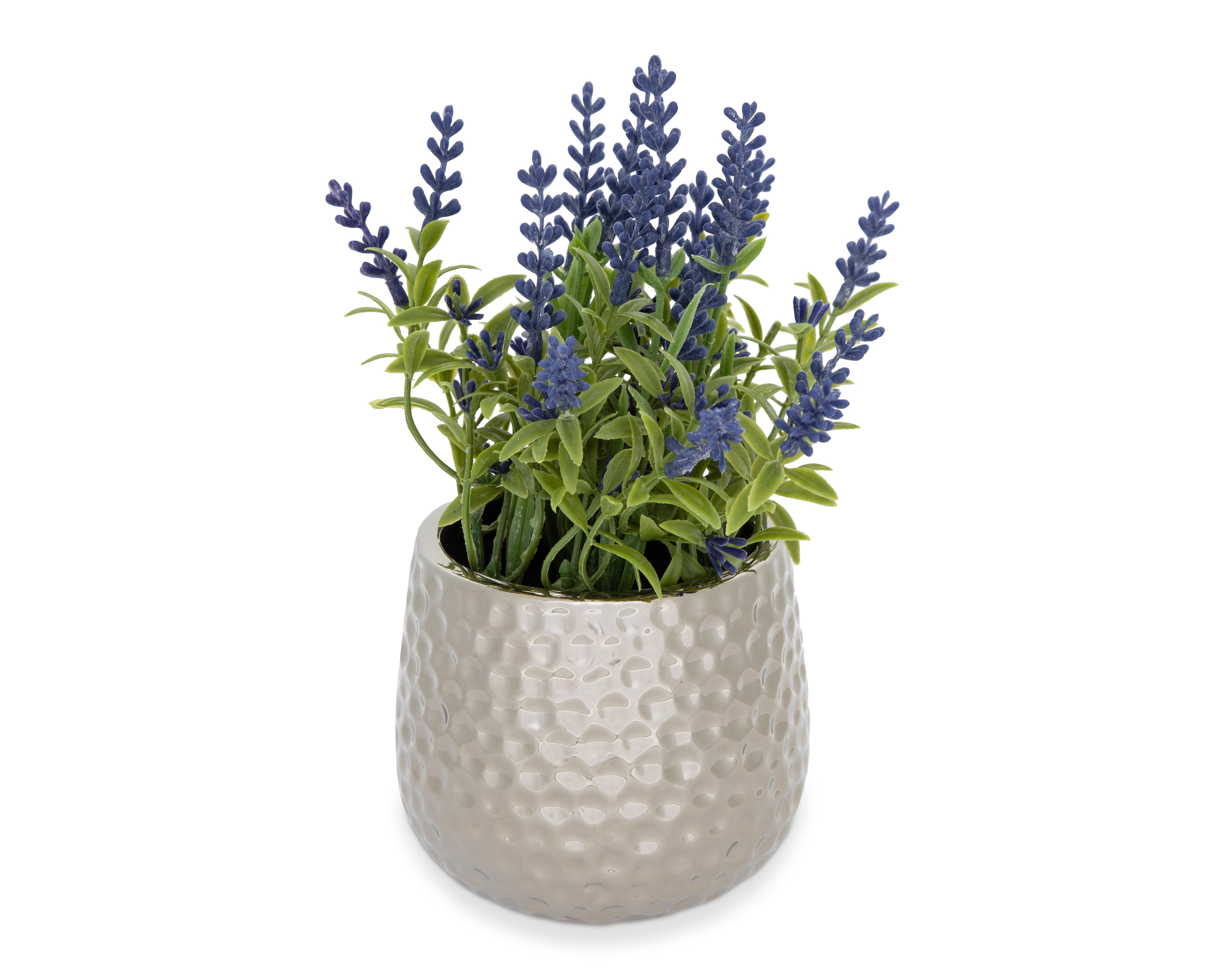 Foto 3 pulgar | Planta Artificial con Maceta Starhaus 19 cm