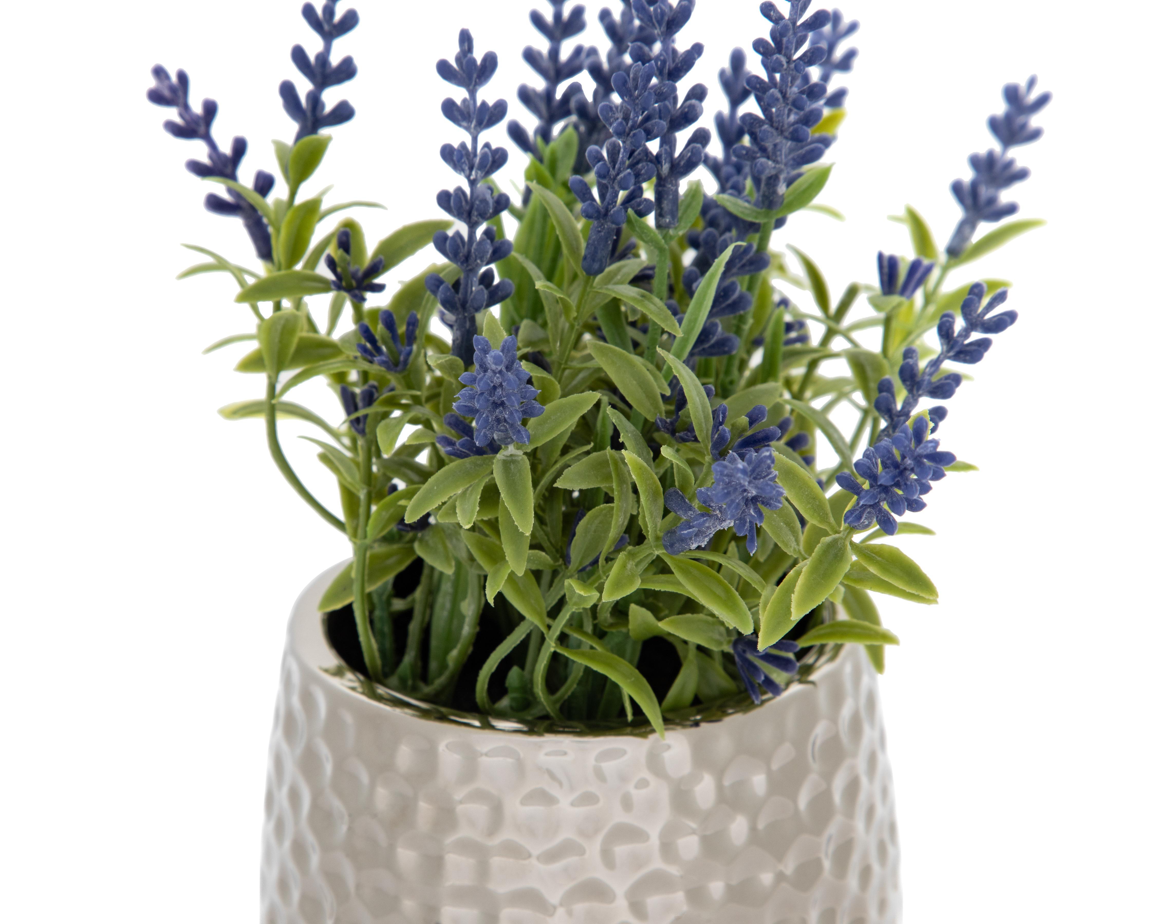 Foto 4 pulgar | Planta Artificial con Maceta Starhaus 19 cm
