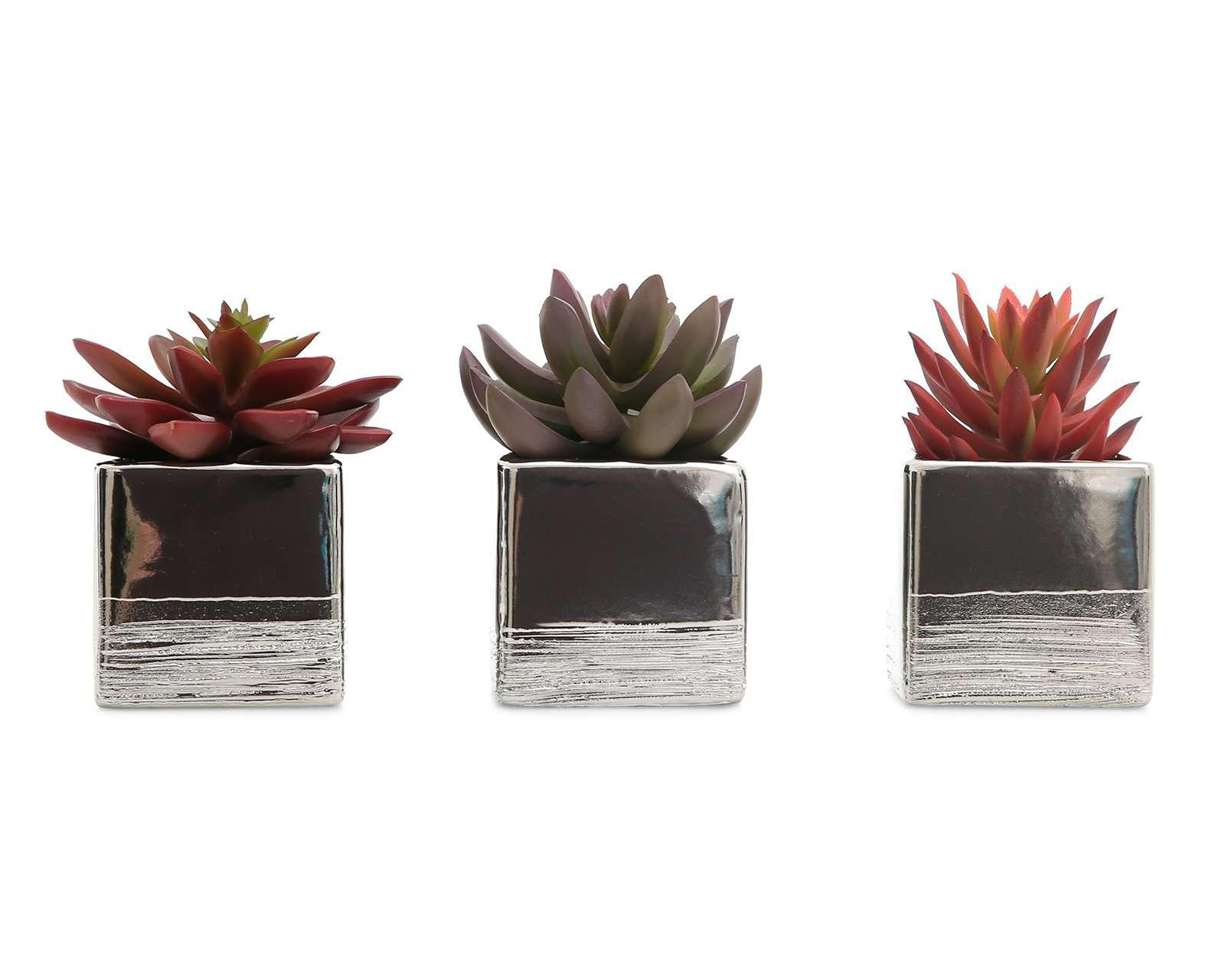 Plantas Decorativas Nepro $199