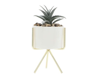 Foto 1 | Planta Decorativa Dio