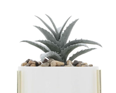 Foto 3 | Planta Decorativa Dio