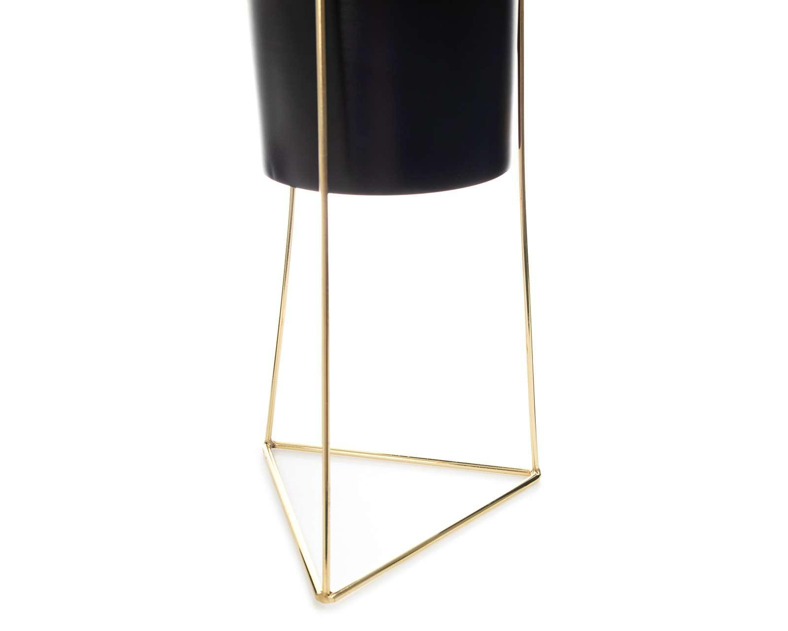 Foto 4 pulgar | Planta Decorativa Mace