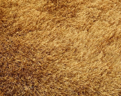 Foto 3 | Tapete Gold 120 x 180 cm
