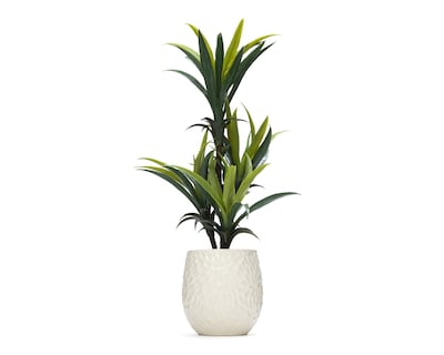 Foto 2 | Planta Artificial con Maceta Starhaus 88 cm