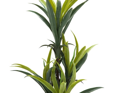 Foto 3 | Planta Artificial con Maceta Starhaus 88 cm