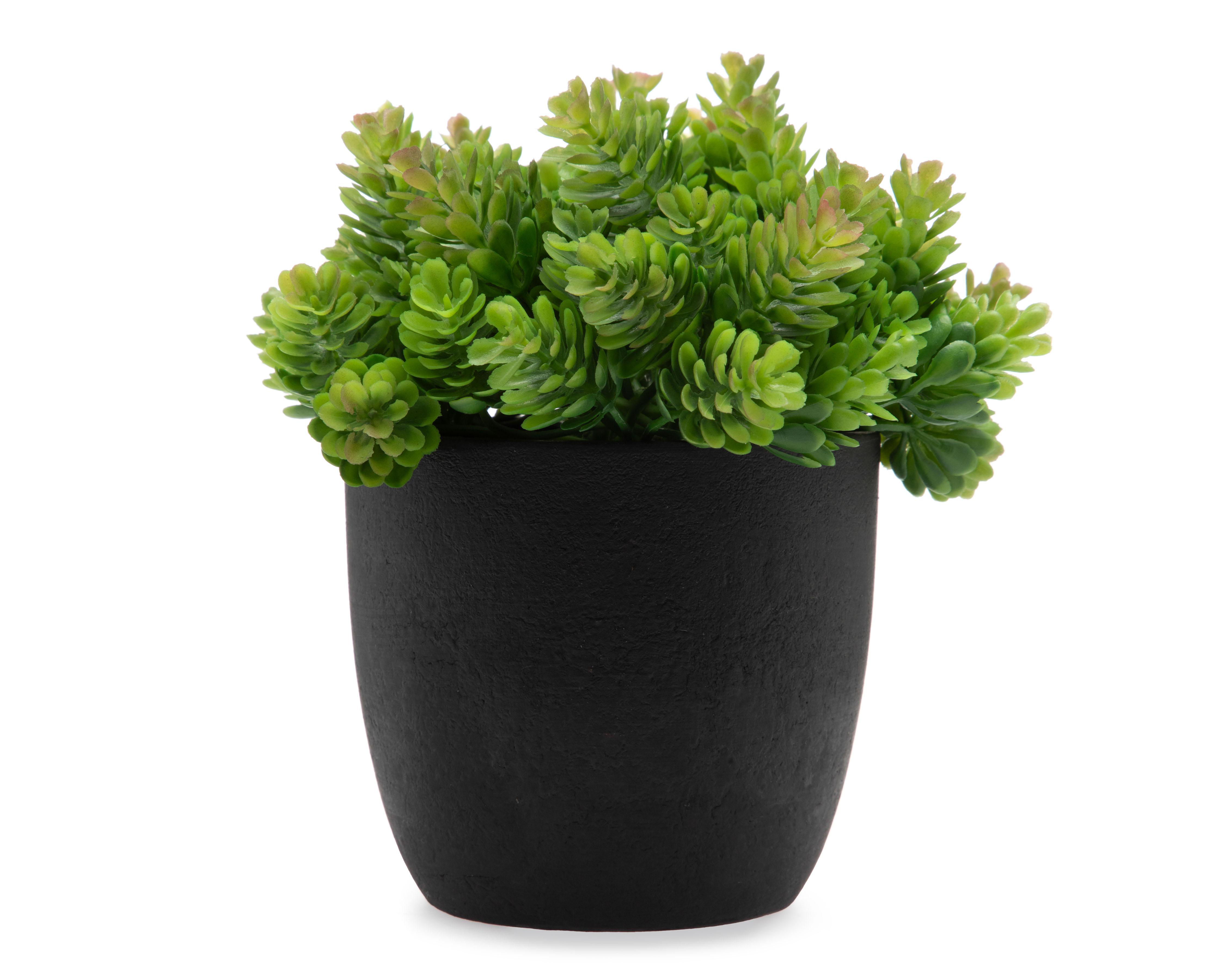 Planta Artificial con Maceta Starhaus 19 cm $119