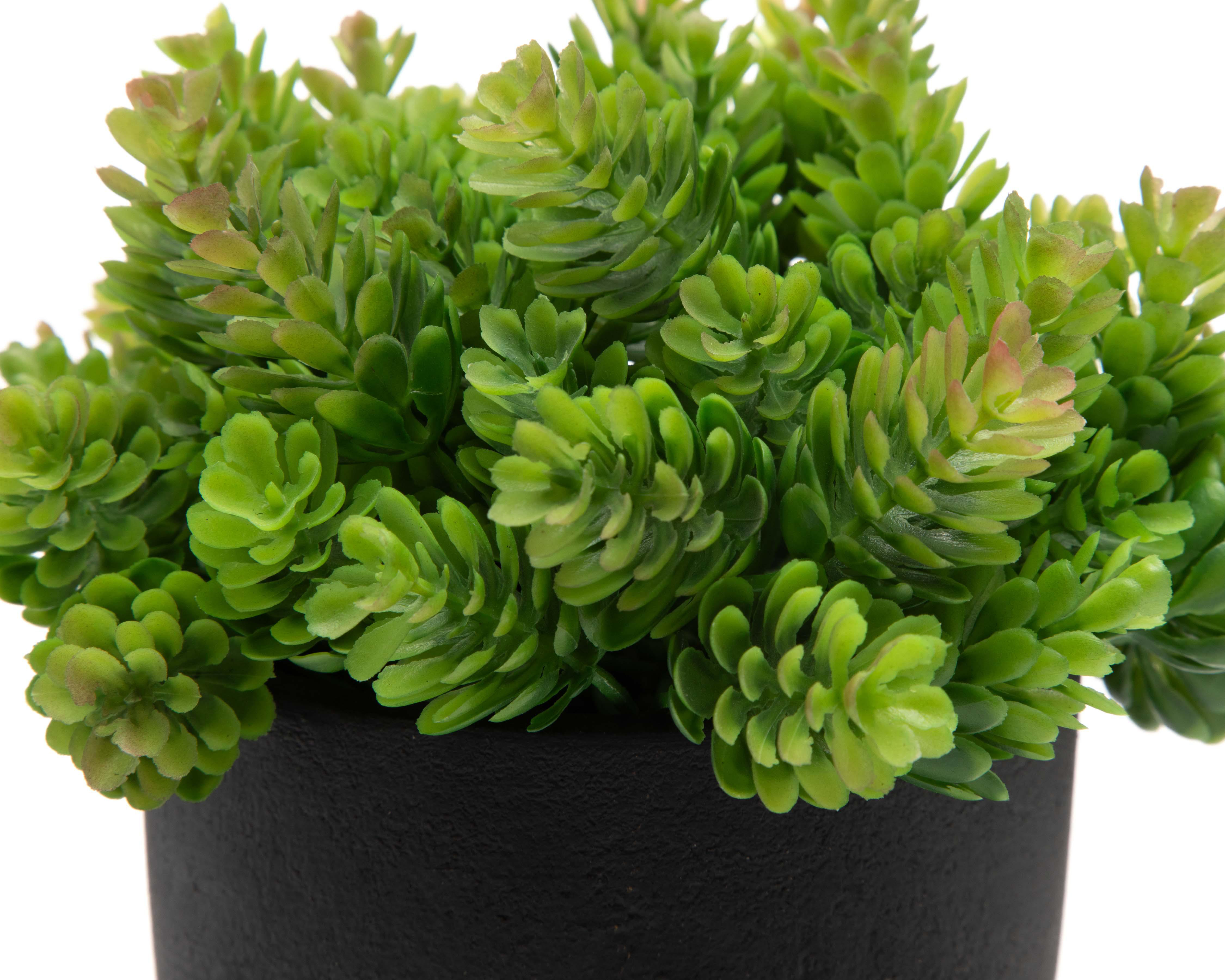 Foto 4 pulgar | Planta Artificial con Maceta Starhaus 19 cm