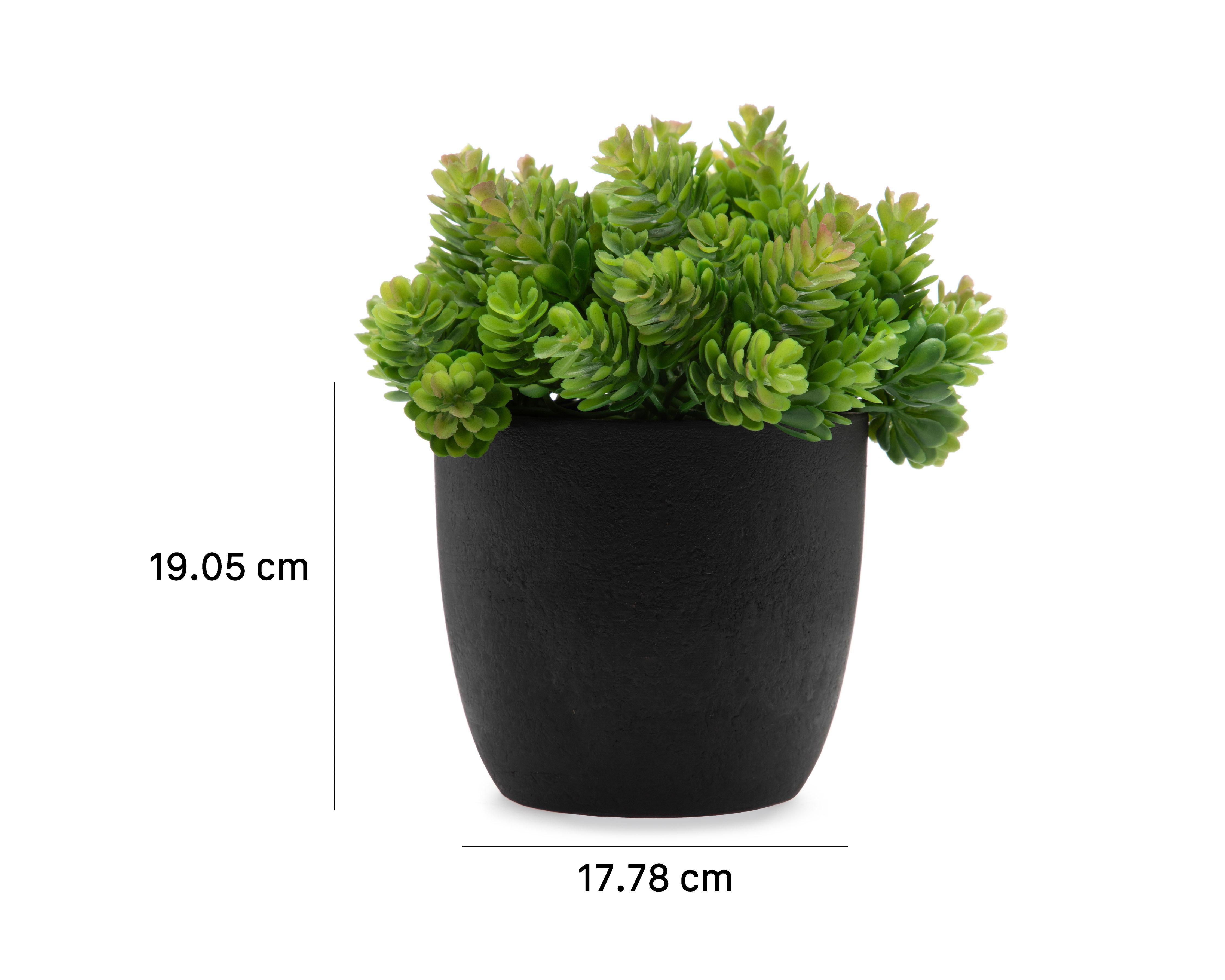 Foto 5 | Planta Artificial con Maceta Starhaus 19 cm