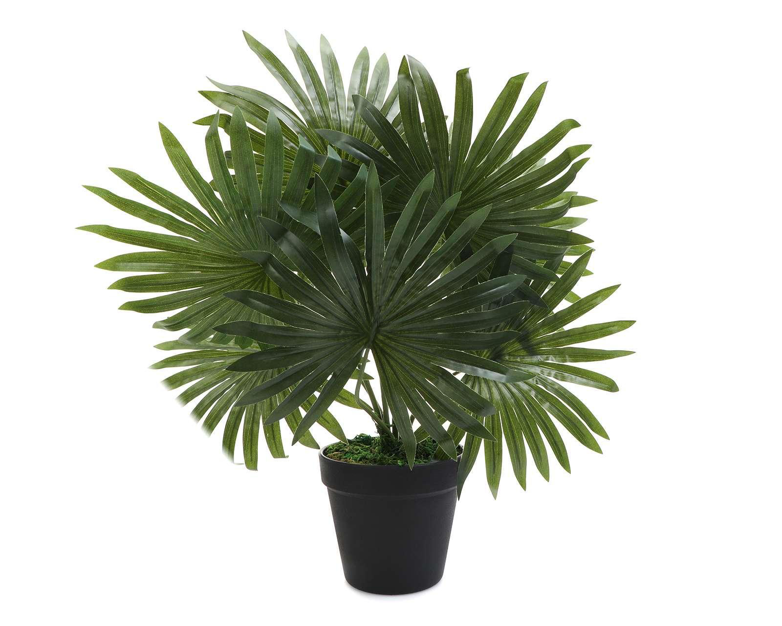 Foto 2 pulgar | Planta Artificial Fan Palm B